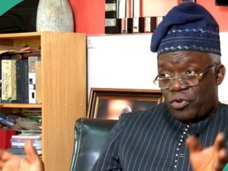 How INEC Chairman, RECs Should Be Appointed, Falana Explains