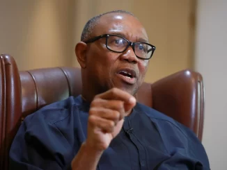 Alleged budget padding: Peter Obi advocates immediate review of 2024 budget