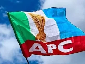 APC logo flag