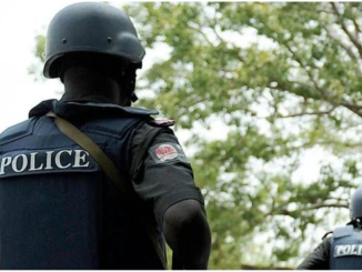 Police Arrest 58 Armed Robbery, Kidnap Suspects In Adamawa