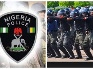 Police arrest kidnappers’ kingpin linked to attack on Kaduna Catholic church
