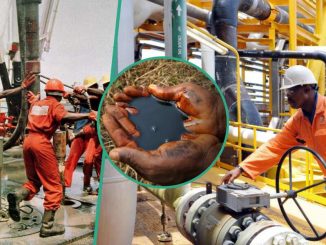 Another African Country Overtakes Nigeria as Top Oil Producer