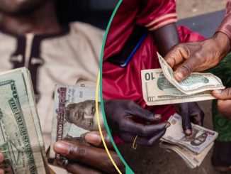 New Exchange Rate As Naira Records First Loss in a While Against US Dollar in Official Market