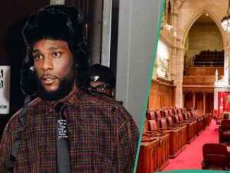 “His Statue Should Be in Museums”: Man Praises Burna Boy After Canadian Senate Mentioned His Impact