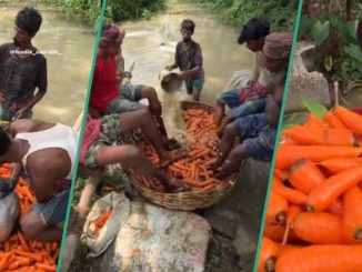 "This Is Not Hygienic": Viral Video Shows Group of Men Using their Feet to Wash Basket of Carrots