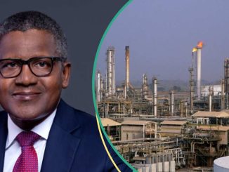 “N700 Per Litre”: Marketers Expect New Diesel Price From Dangote Refinery as Naira Gains More