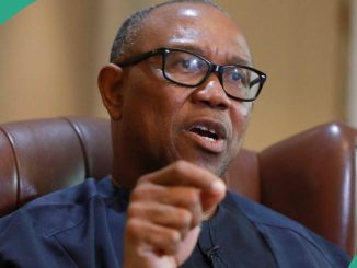 “Peter Obi Not a Labour Party Person', Okupe, Discloses Reason for Ex Anambra Gov's LP Choice
