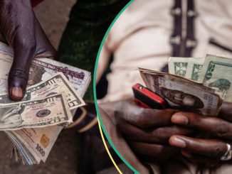 In 24 Hours, Naira Loses N65 Value Against US Dollar, CBN Sets New Exchange Rate