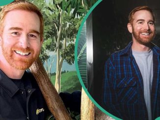 Who is Andrew Santino's wife? Learn more about the comedian's background