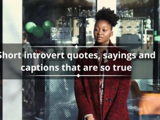 130+ short introvert quotes, sayings and captions that are so true