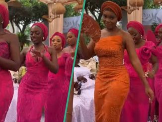 Asoebi Ladies Give Netizens Style Inspiration With Their Striking Attire: "Classy and Decent"