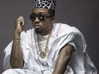 I can never pull stunts to promote my music – Ice Prince