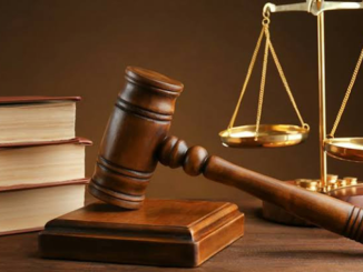 Litigation Trails Shehu Malami's Will