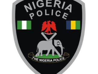 AIG backtracks over Nigeria not mature for state police comment 
