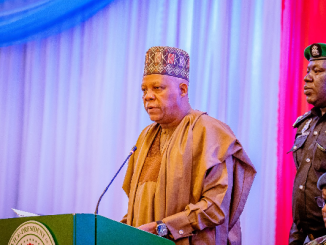 Book launch: A secure country possible through your works, Shettima tells academics