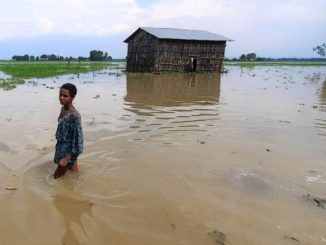 Flood kills woman in Taraba, girl missing