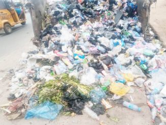 Shaping a Sustainable Future for Nigeria in the Fight Against Plastic Pollution