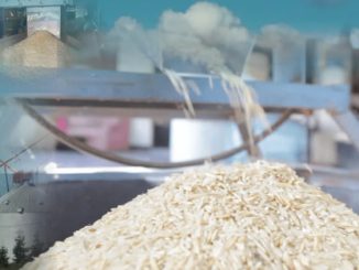 Save Rice Processors From Collapse, Stakeholders Beg FG