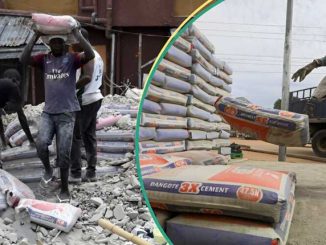 Dangote Cement Biggest Rival Hints on New Bag of Cement Price, Gives Reasons