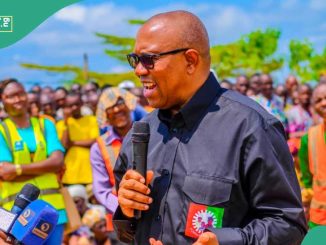 Peter Obi Endorses Nationwide Protests, Identifies Sponsors, Details Emerge