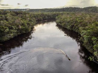 Carbon credits 'ineffective', says corporate climate watchdog