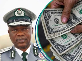 CBN Adjusts Exchange Rates For Customs Duty Clearance as Dollar Crashes in Black Market