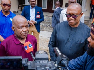 Hardship: Peter Obi, Otti back national protest