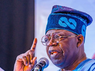 How Tinubu Tasked Nigerians In Diaspora On Positive Contributions