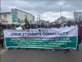 Nationwide Protest: Count us out - Ogun students