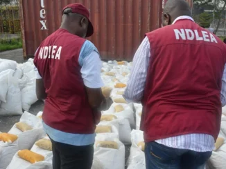 Navy hands over 85 bags of cannabis to NDLEA