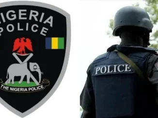 Police arrest 20 youths over Oro festival crisis in Ogun