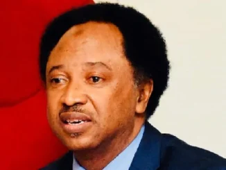 Protest: Shehu Sani reveals only way organisers will submit details to police