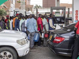 Relief as Petrol Stations Crash Prices by N100 after Marketers' Message