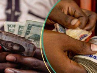 Banks, Traders Crash Dollar Rate in Official, Black Markets as Naira Records Best Gains in 2 Weeks