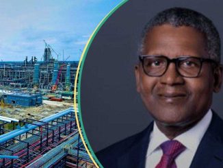 US, Spain, France, South Korea, 6 Others Make Up Top 10 Buyers of Dangote Refinery Products