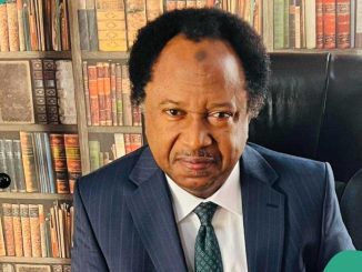 Shehu Sani Speaks Out as Deaths, Destruction Mar Nigeria's Hardship Protests: "Scores Dead"