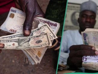 CBN Updates All Exchange Rates As Naira Crashes Against Dollar As Banks React to Hunger Protests