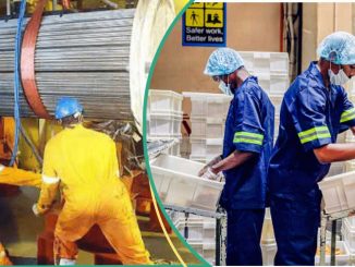 Nigeria's Manufacturing Sector Faces Crisis as 102 Companies Shut Down