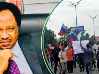 “The New Dimension”: Shehu Sani Discloses What Was Given To Northern Protesters Before Demonstration