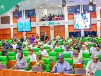 Hardship: Reps Discloses Actual Salary of Nigerian Lawmakers, “Not N900,000”