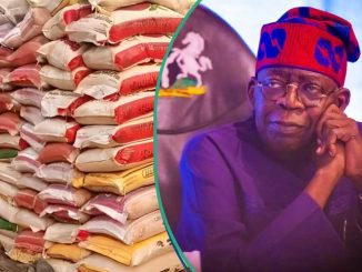 Hunger Protest: Tinubu’s Govt Suspends Sale of N40,000 Rice to Nigerian Workers, Details Emerge