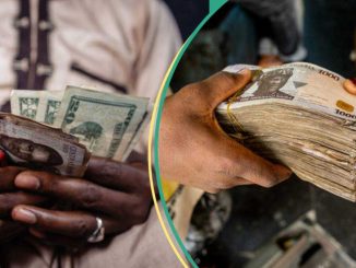 CBN Sells Dollars Cheaply Again to Banks as Naira Gains in Official, Black Markets