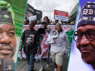 Protests: Why Nigerians Should Shift Hunger Frustration to Buhari, Yoruba Council Gives Reasons