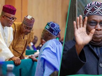 BREAKING: Senators' Actual Salaries, Allowances Emerge After Obasanjo's Outburst