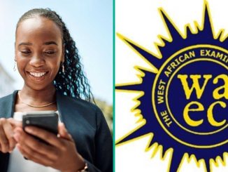 Nigerian Student from GreatAndy School Earns 5 A1s in WAEC Exams with Distinction in Maths