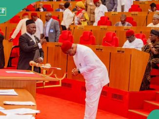 FG Spends N1.4bn Annually on 109 Senators, Breakdown Emerges