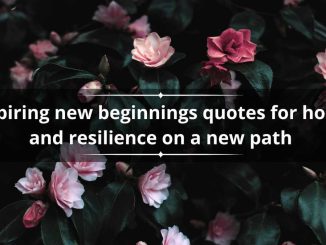 55 inspiring new beginnings quotes for hope and resilience on a new path