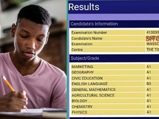 WAEC 2024 Result: Boy Who Wants to Study Medicine Scores Eight A1's after Getting 328 in UTME