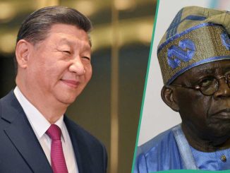 Chinese Firm: Nigeria Loses 2 Properties in US, After Loss of Presidential Jets in France