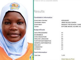 WAEC Result of Science Student Who Scored A1 in Data Processing And Mathematics Surfaces Online